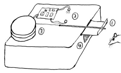 [Diagram of mouse trap]