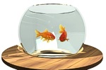 Rendered image of fishbowl