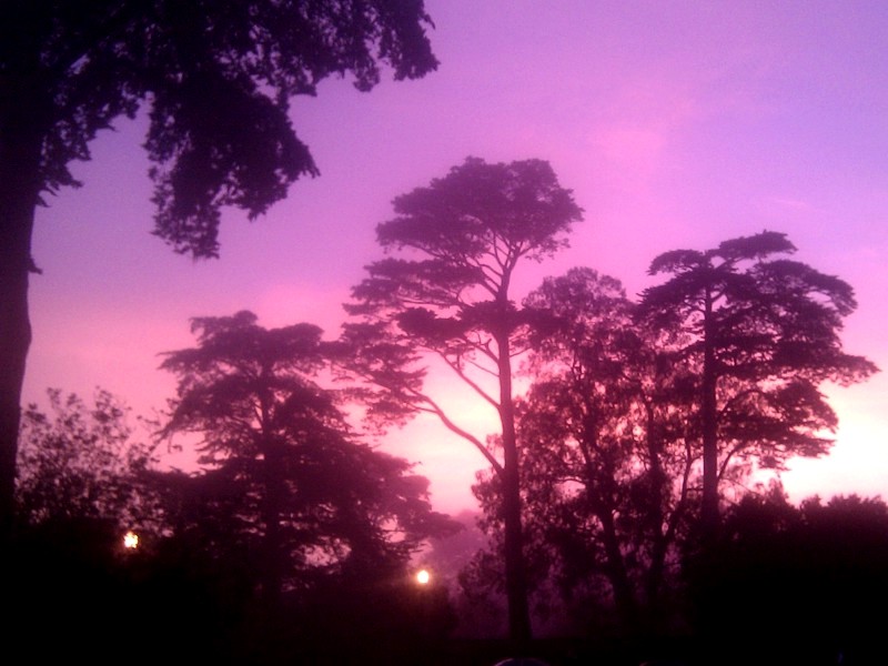 [Sunset in Golden Gate Park]