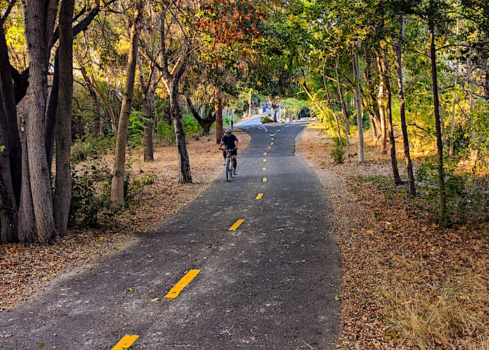 [Stevens Creek Trail]