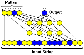 [Image of network]