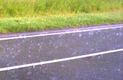 [Rain and hail on the road]